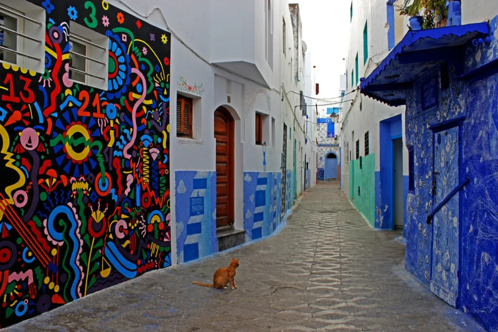 Visit Asilah, Morocco’s art-filled coastal town. Explore its medina, ocean views, and local culture on your Morocco tour.
