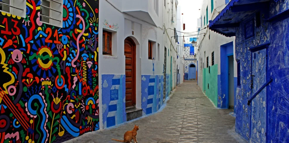 Visit Asilah, Morocco’s art-filled coastal town. Explore its medina, ocean views, and local culture on your Morocco tour.