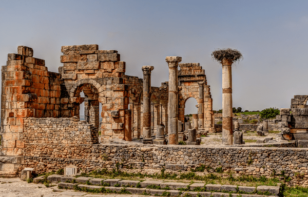 Explore Morocco’s rich history & heritage: medinas, kasbahs, and timeless stories on guided tours.
